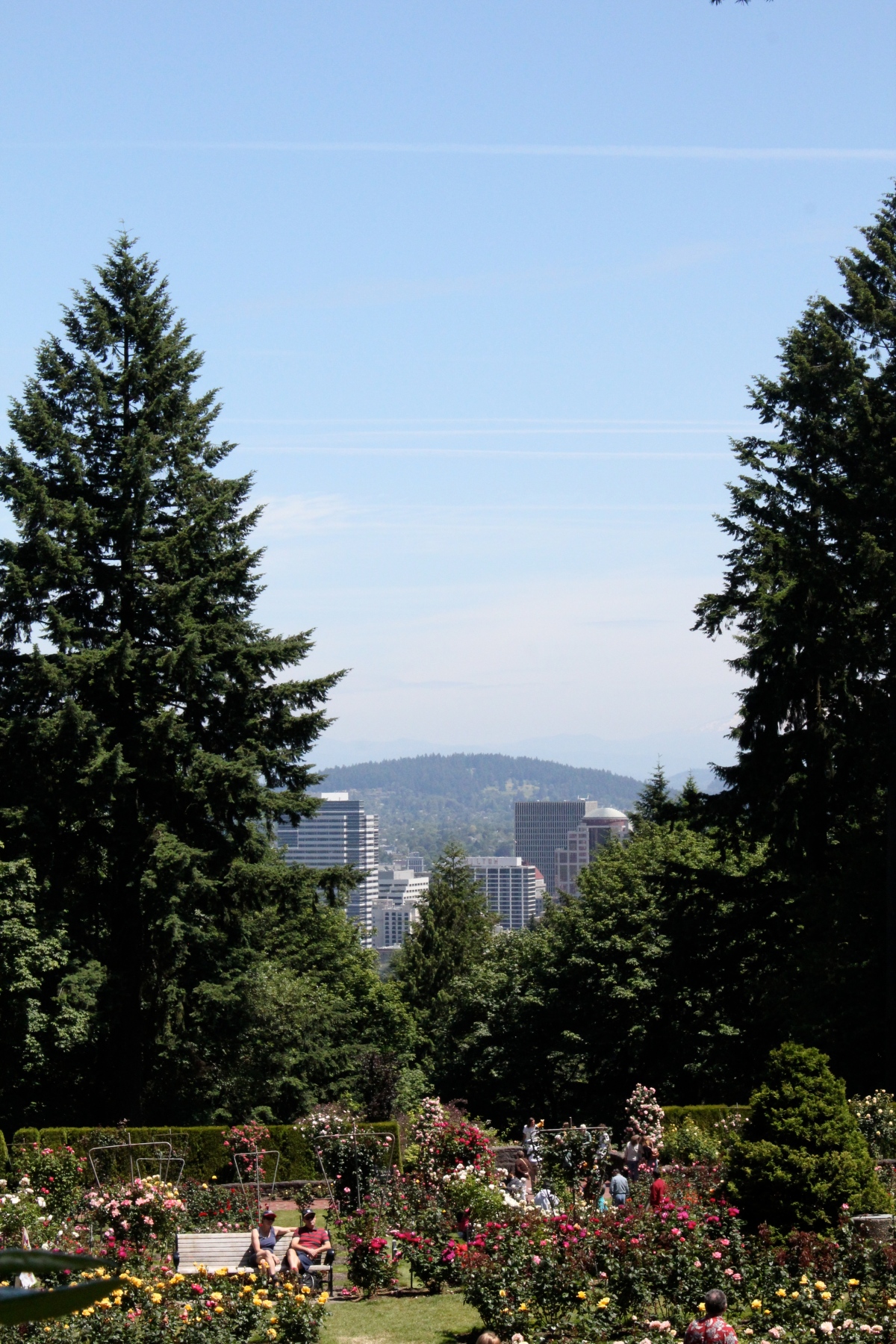 View of downtown Portland from Washington Park